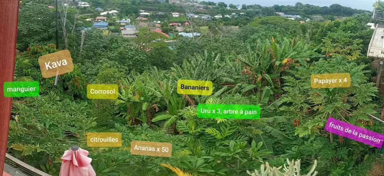Manava Tahara'A Home Stay Mahina المظهر الخارجي الصورة